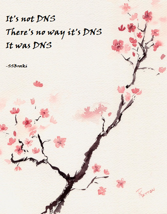 dns